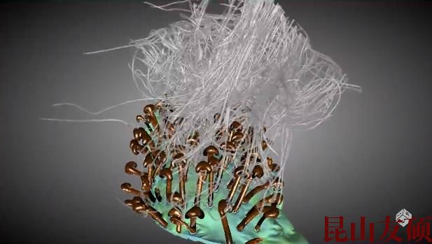 白城蔡司白城X射线显微镜