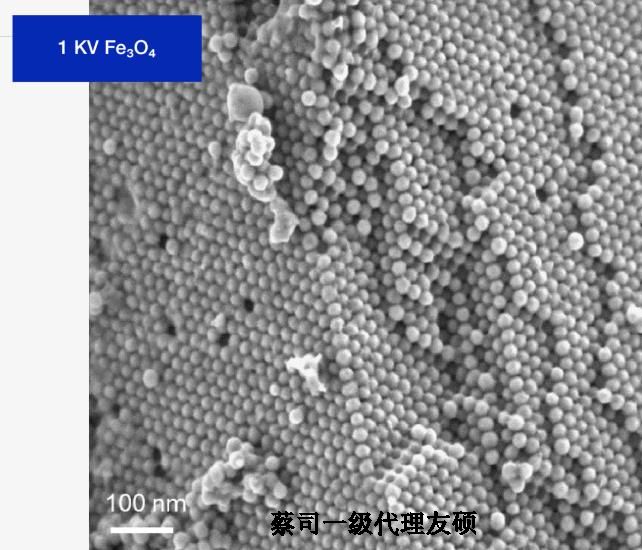 白城白城蔡司白城扫描电镜